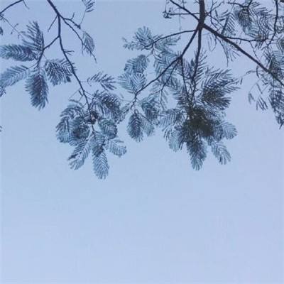 蜀山青云志oppo下载
